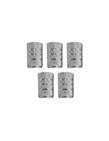 E3/99983 Set De 5 Tapones Para Rueda Coche Plata Dunlop