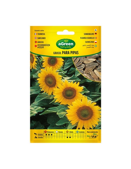 SOBRE DE SEMILLAS DE GIRASOL PARA PIPAS 301024BOLSH AGREEN