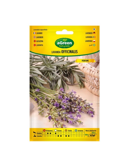 SOBRE DE SEMILLAS DE LAVANDA OFFICINALIS 301031BOLSH AGREEN