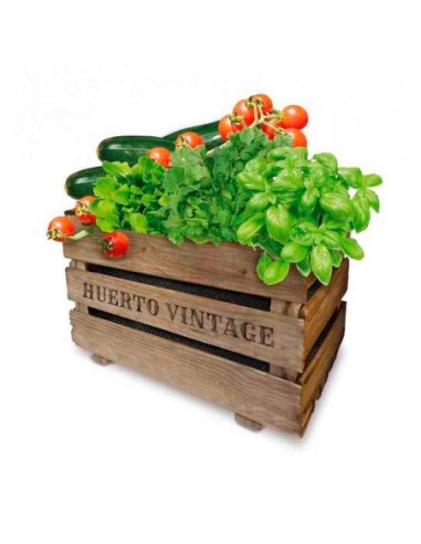 E3/06410 CAJA HUERTO VINTAGE ECO AGREEN