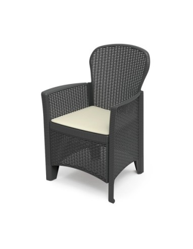 E3/75328 SILLON IMITACION RATTAN. COLOR: ANTRACITA 60x58x89cm MODELO: FOLIA PROGARDEN