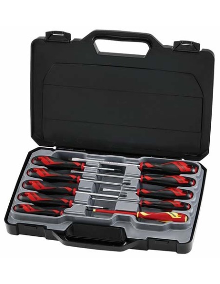 TENGTOOLS 185880101 JUEGO DESTORNILLADORES MD910N 10 PZAS