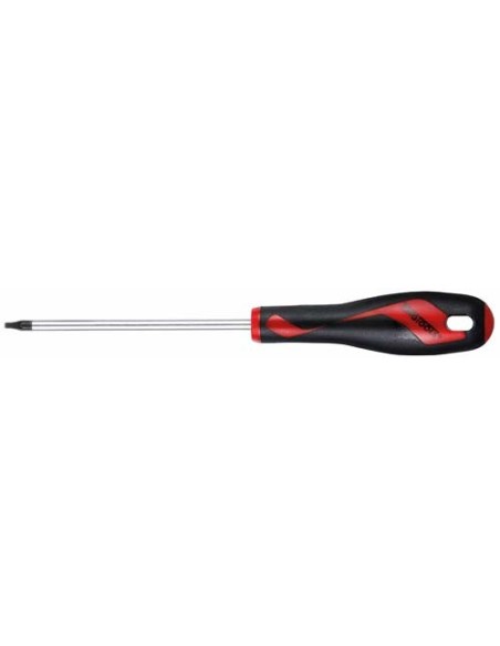 TENGTOOLS 177791100 DESTORNILLADOR  TX-40  100 mm.