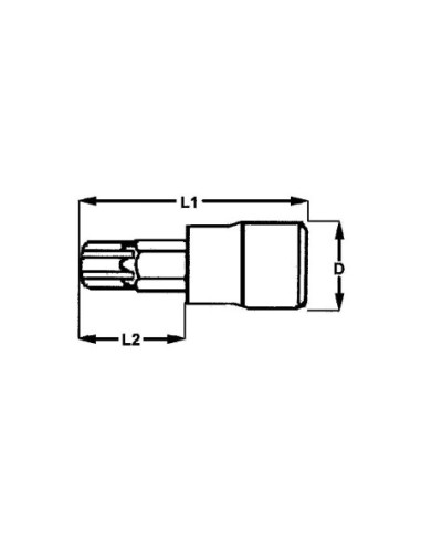 TENGTOOLS 112060108 VASO PUNTA TORX10 1/4 M141210T-C